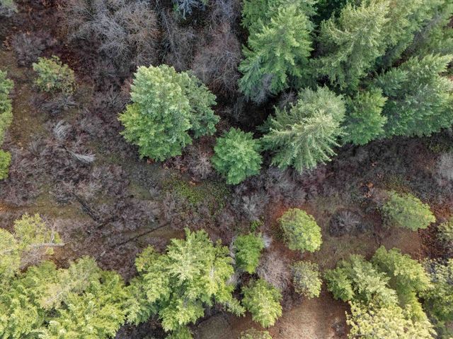 XXXX E View Ridge Ln, Spokane, WA 99206