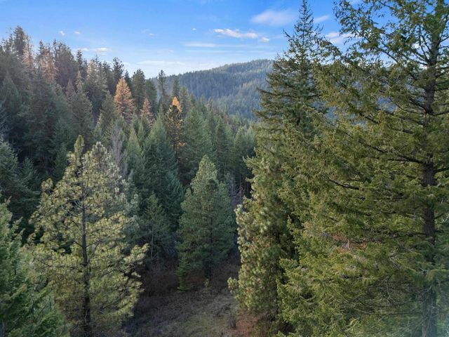 XXXX E View Ridge Ln, Spokane, WA 99206