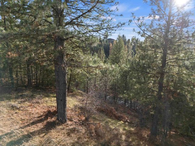 XXXX E View Ridge Ln, Spokane, WA 99206