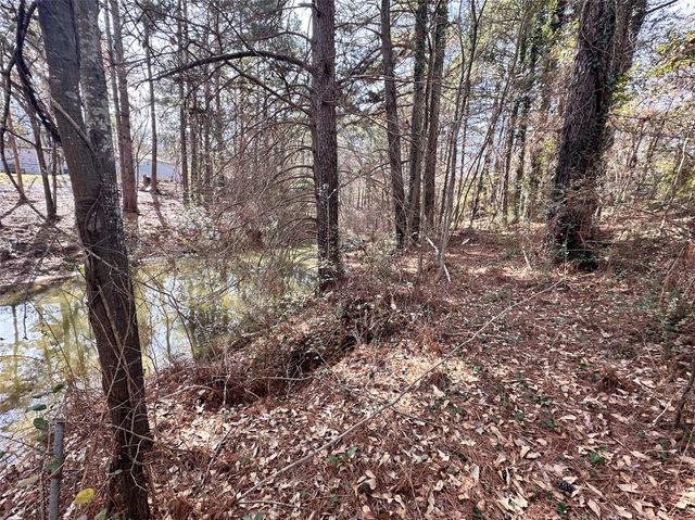 6791 Valley View Drive, Frankston, TX 75763