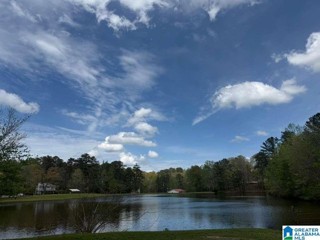 VICKI DRIVE, Lakeview, AL 35111