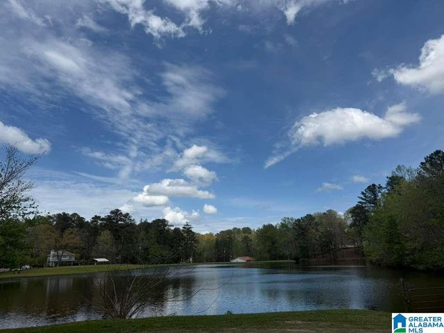 VICKI DRIVE, Lakeview, AL 35111