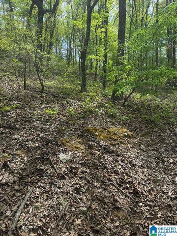 VICKI DRIVE, Lakeview, AL 35111