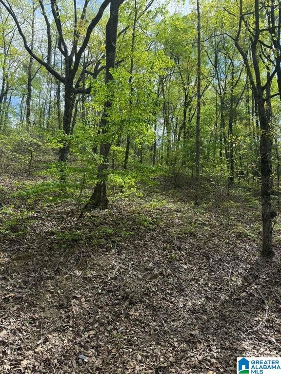 VICKI DRIVE, Lakeview, AL 35111