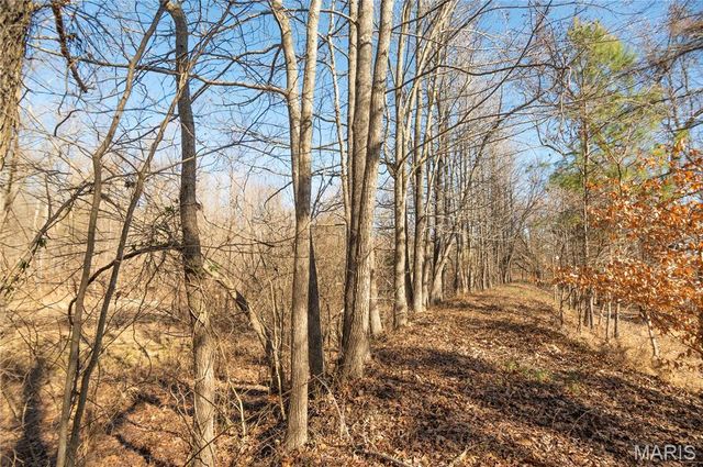 24898 State Highway AB, Essex, MO 63846