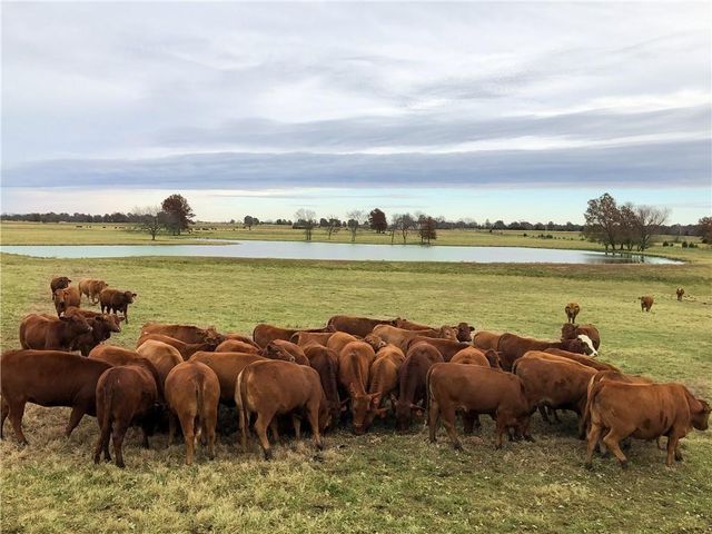 376 NW 90th Road, Sheldon, MO 64784