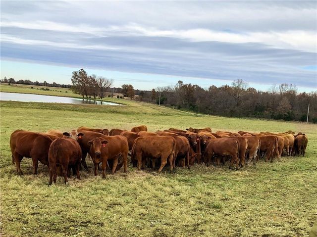 376 NW 90th Road, Sheldon, MO 64784