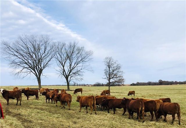 376 NW 90th Road, Sheldon, MO 64784