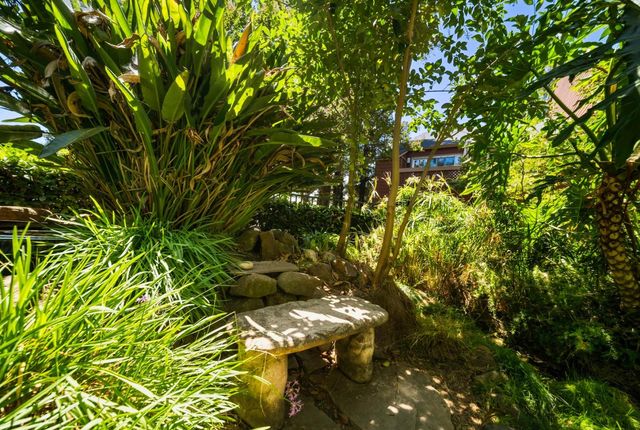 872 Catkin Court, San Jose, CA 95128