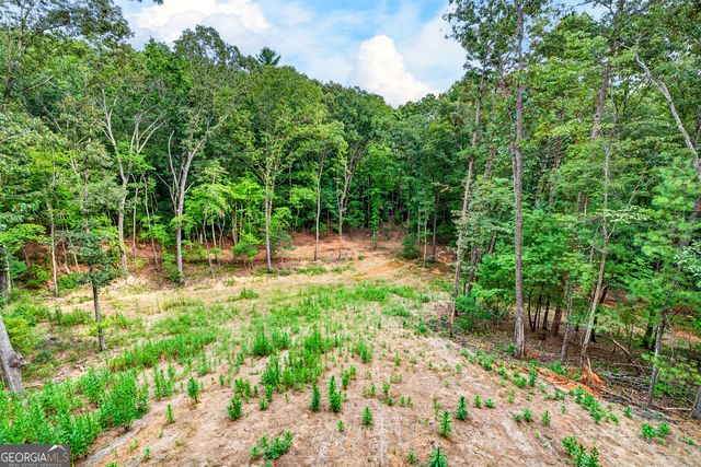 1030 Old Flat Branch Road, Ellijay, GA 30540
