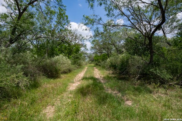 1393 Fox Trotter, Seguin, TX 78155