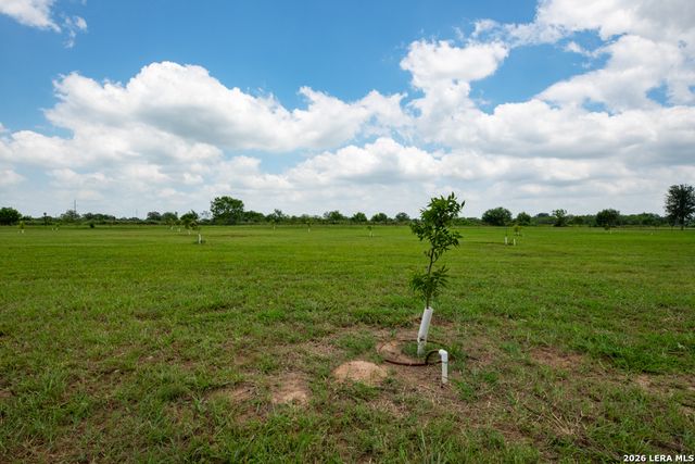 1393 Fox Trotter, Seguin, TX 78155