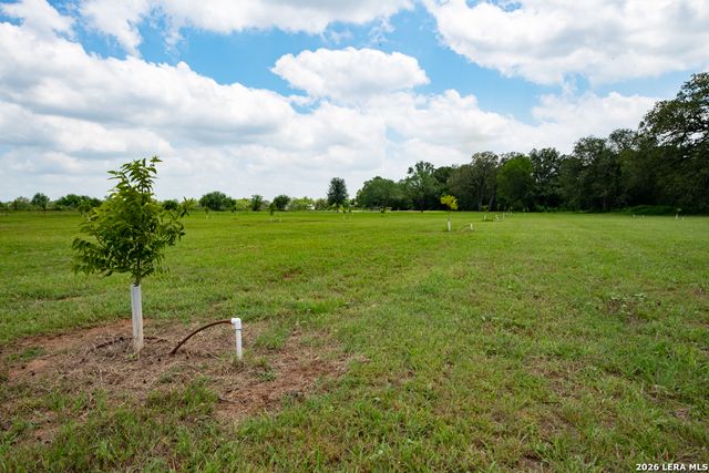 1393 Fox Trotter, Seguin, TX 78155