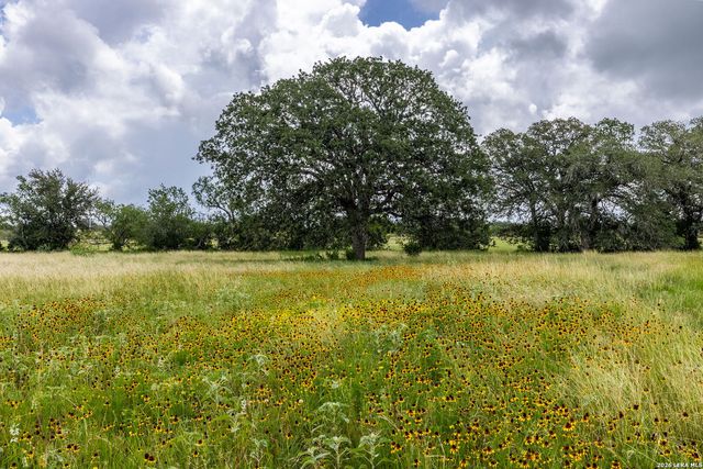 1393 Fox Trotter, Seguin, TX 78155