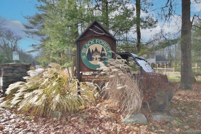 134 Black Forest Road, Glen Spey, NY 12737