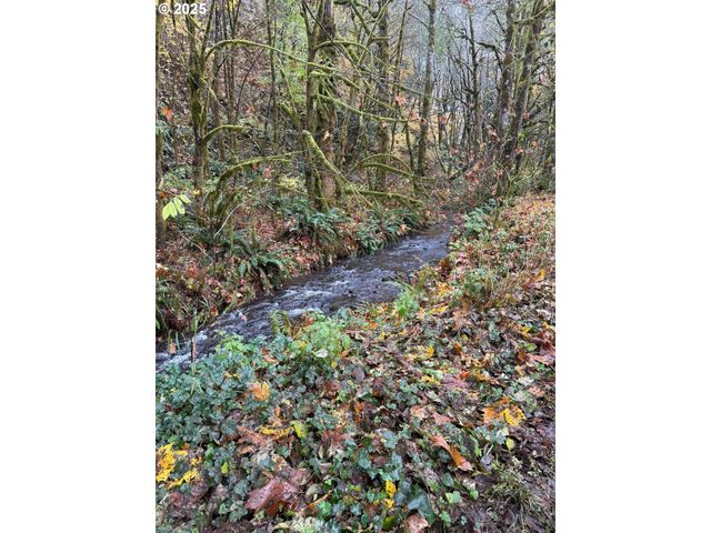 74763 CONYERS CREEK Rd, Clatskanie, OR 97016