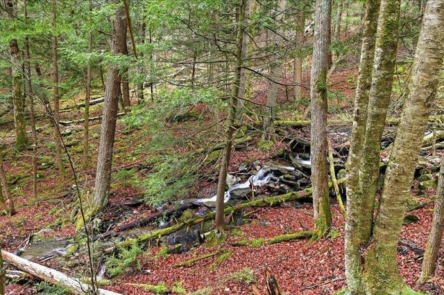 1075 Butternut Hill Rd Unit H4, Waitsfield, VT 05673