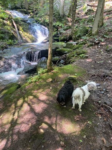 1075 Butternut Hill Rd Unit H4, Waitsfield, VT 05673