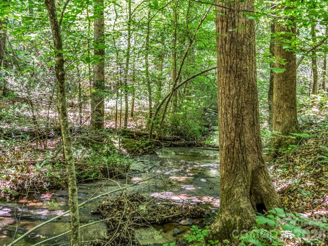 670 Cedar Creek Road, Lake Lure, NC 28746
