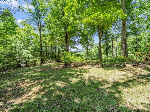 670 Cedar Creek Road, Lake Lure, NC 28746
