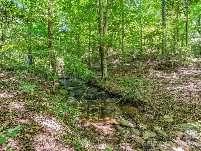 670 Cedar Creek Road, Lake Lure, NC 28746