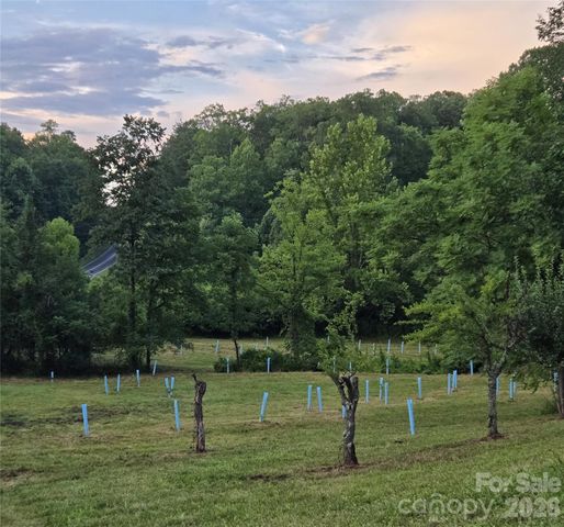 670 Cedar Creek Road, Lake Lure, NC 28746