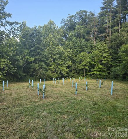 670 Cedar Creek Road, Lake Lure, NC 28746