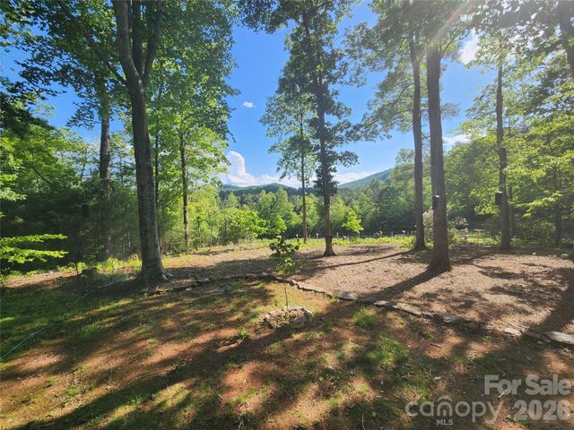 670 Cedar Creek Road, Lake Lure, NC 28746