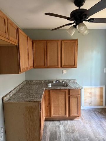 20030 Ohio, Detroit, MI 48221