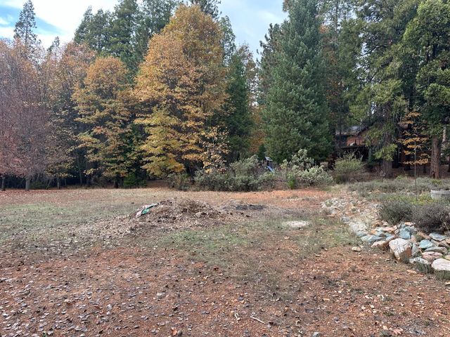 2273 Flanders Dr, Arnold, CA 95223