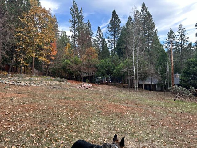 2273 Flanders Dr, Arnold, CA 95223