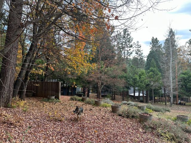 2273 Flanders Dr, Arnold, CA 95223