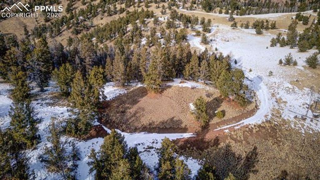 13 Buckhorn Trail, Guffey, CO 80820 — photo 2