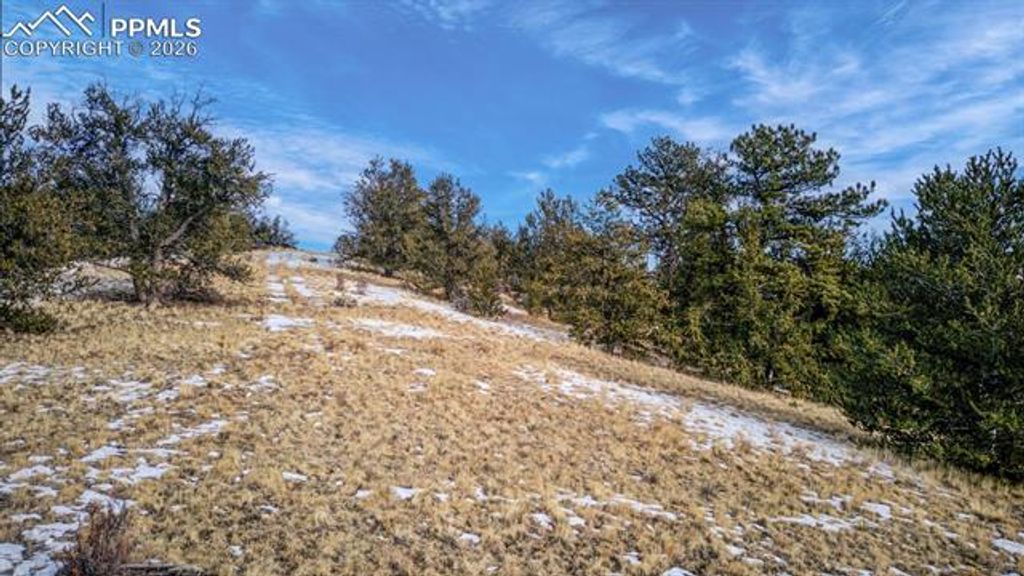 13 Buckhorn Trail, Guffey, CO 80820 — photo 4