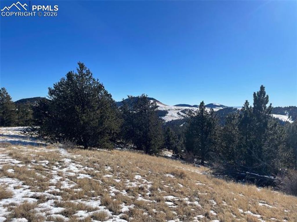 13 Buckhorn Trail, Guffey, CO 80820 — photo 5
