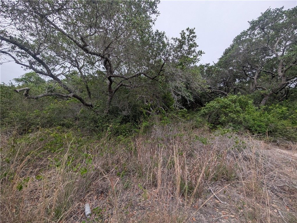 0 S 8th, Aransas Pass, TX 78336 — photo 2
