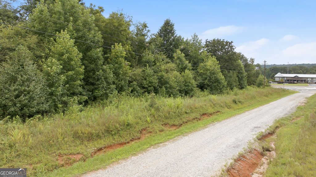 0 Ga Hwy 365 TRACT 1, Baldwin, GA 30511 — photo 4