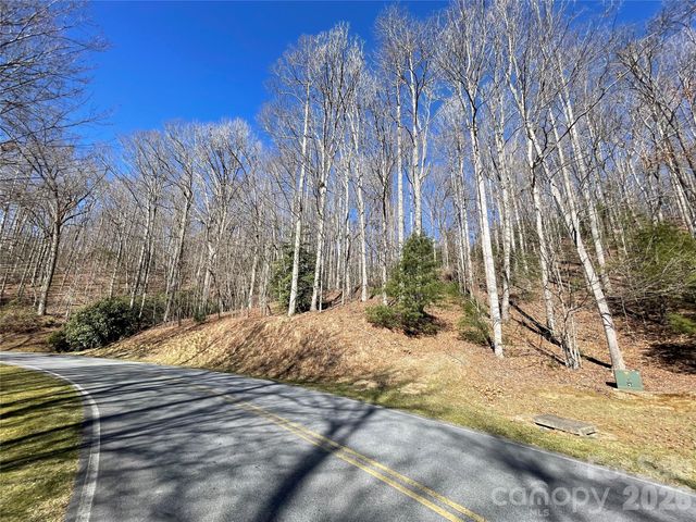 00 Chattooga Run 292R, Hendersonville, NC 28739