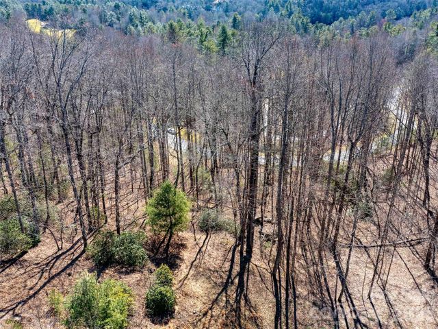 00 Chattooga Run 292R, Hendersonville, NC 28739