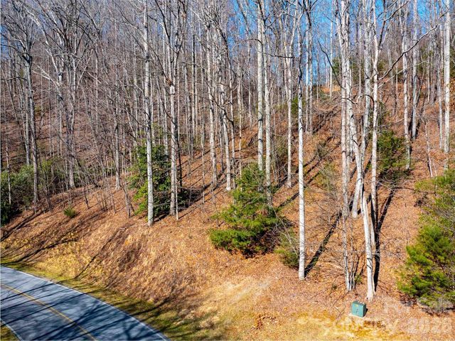 00 Chattooga Run 292R, Hendersonville, NC 28739