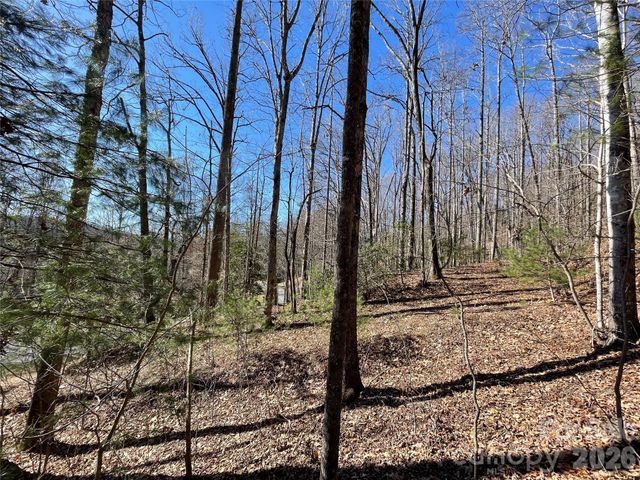 00 Chattooga Run 292R, Hendersonville, NC 28739