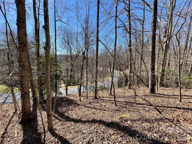 00 Chattooga Run 292R, Hendersonville, NC 28739
