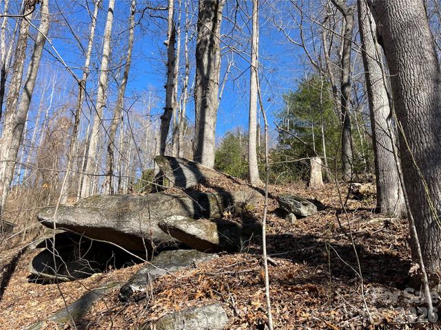 00 Chattooga Run 292R, Hendersonville, NC 28739