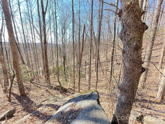 00 Chattooga Run 292R, Hendersonville, NC 28739