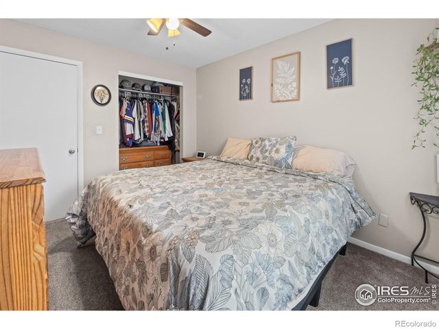 1739 S California Avenue, Loveland, CO 80537