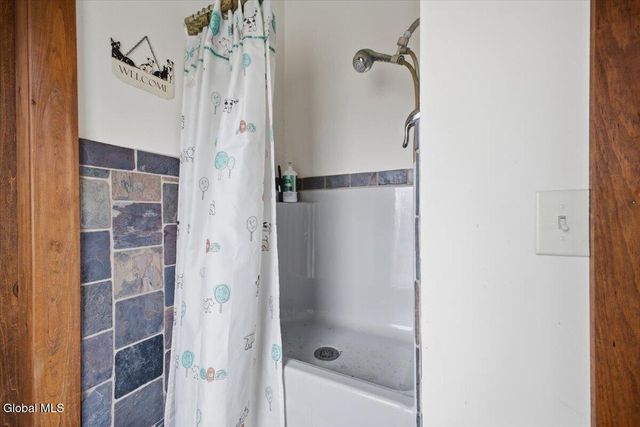 353 County Road 402, Westerlo, NY 12193