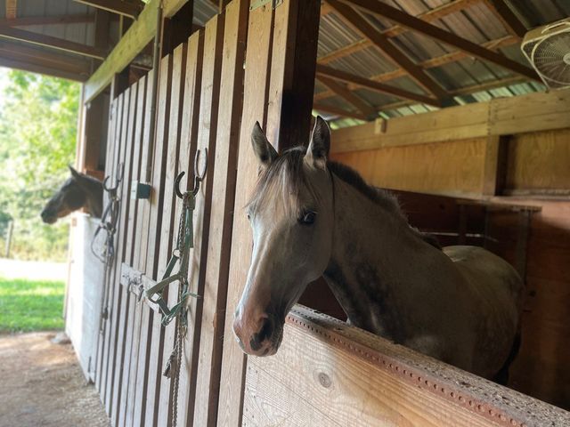 1874 Palmyra Rd, Palmyra, TN 37142