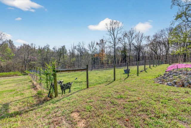 1874 Palmyra Rd, Palmyra, TN 37142