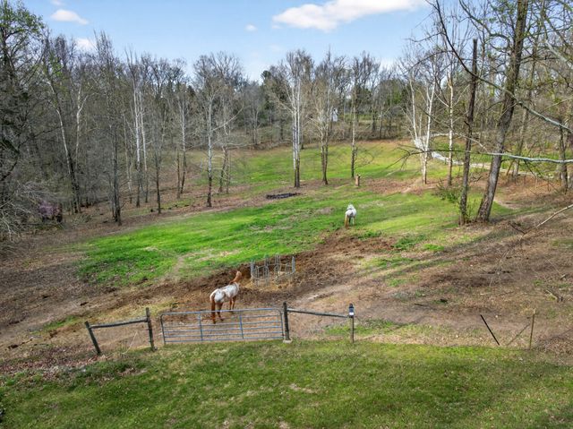 1874 Palmyra Rd, Palmyra, TN 37142