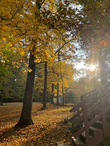 1874 Palmyra Rd, Palmyra, TN 37142